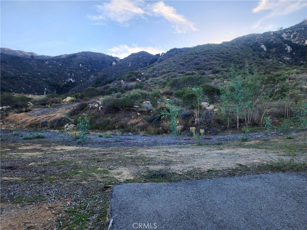 MLS #SW25253652 image #2