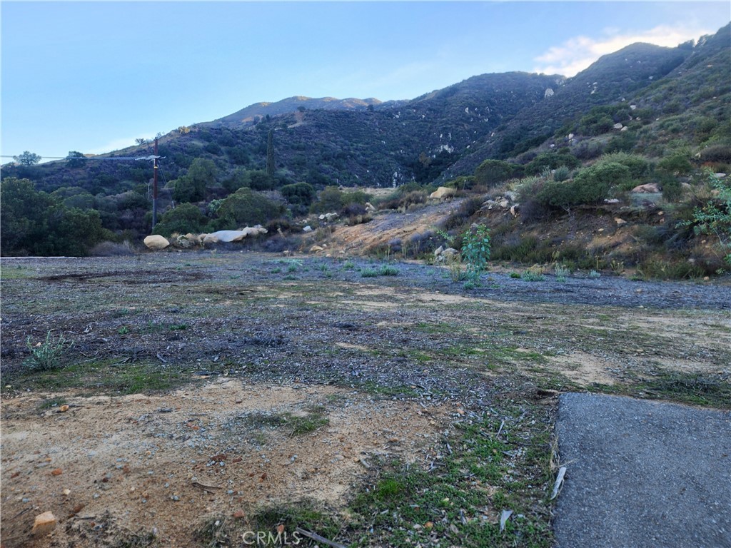 MLS #SW25253652 image #3