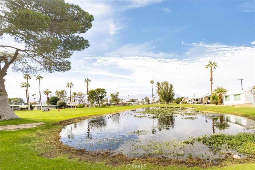 MLS #SW25254031 image #45