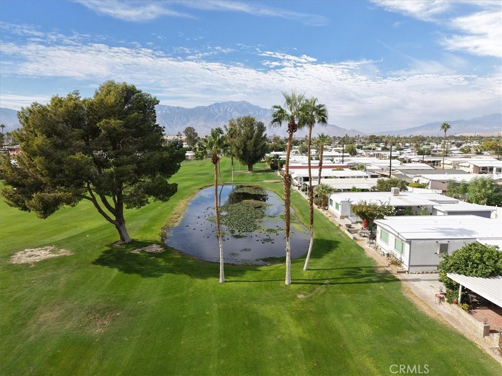 MLS #SW25254031 image #51