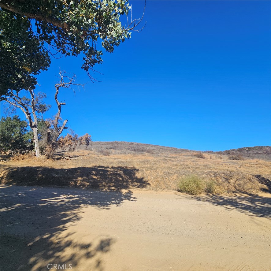 MLS #SW25254222 image #5