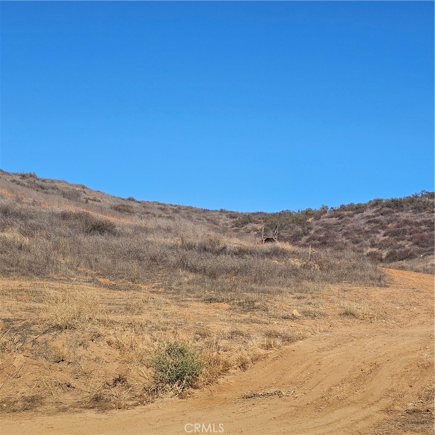 MLS #SW25254222 image #6