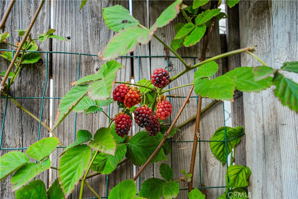 MLS #SW25254618 image #36