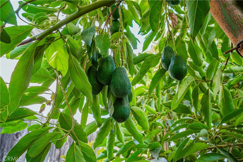 MLS #SW25254618 image #38