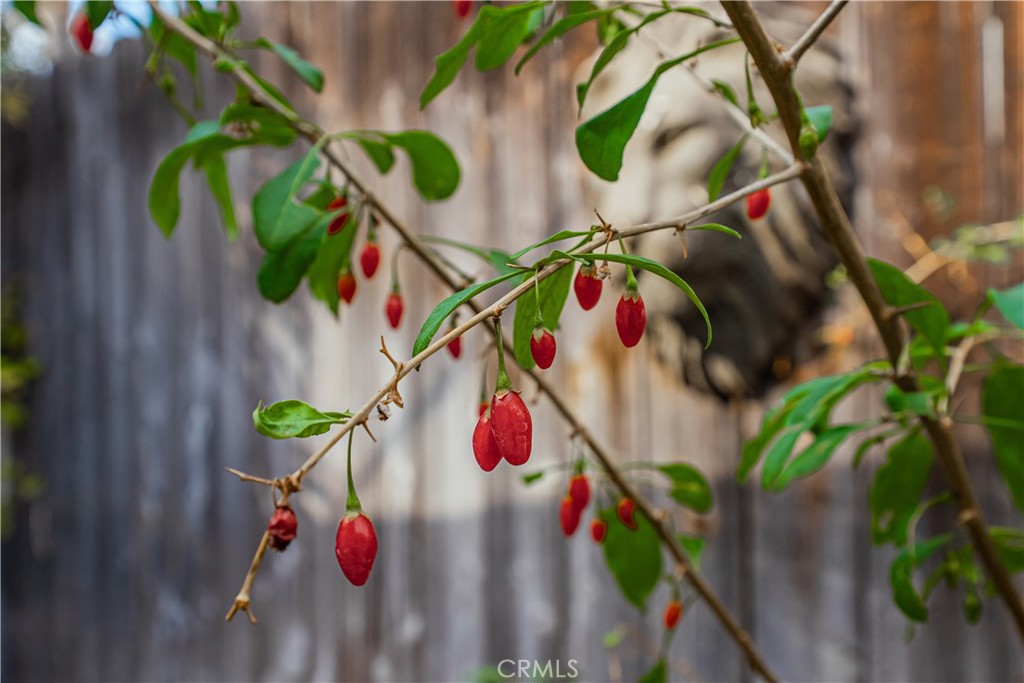 MLS #SW25254618 image #40