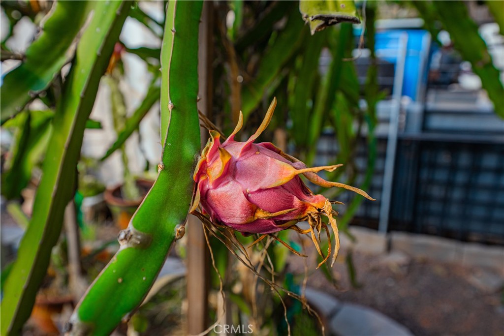 MLS #SW25254618 image #65