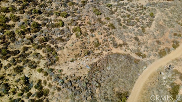 MLS #SW25255851 image #13