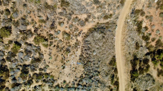 MLS #SW25255851 image #14