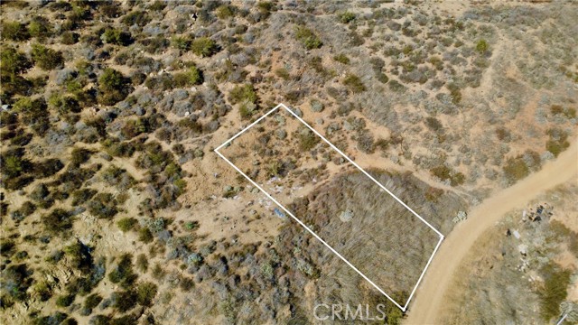 MLS #SW25255851 image #5