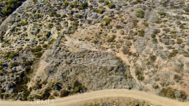 MLS #SW25255851 image #6