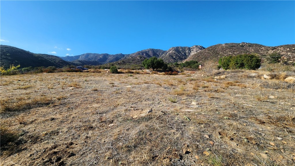 MLS #SW25256501 image #14