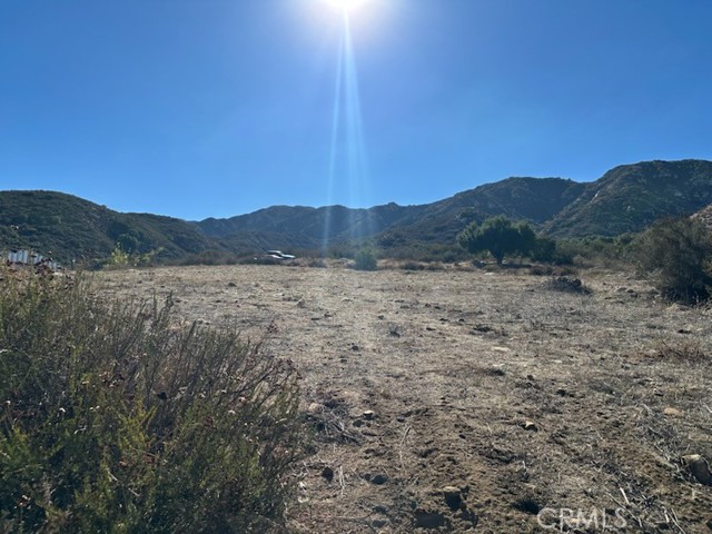 MLS #SW25256501 image #2