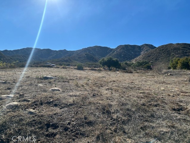 MLS #SW25256501 image #3