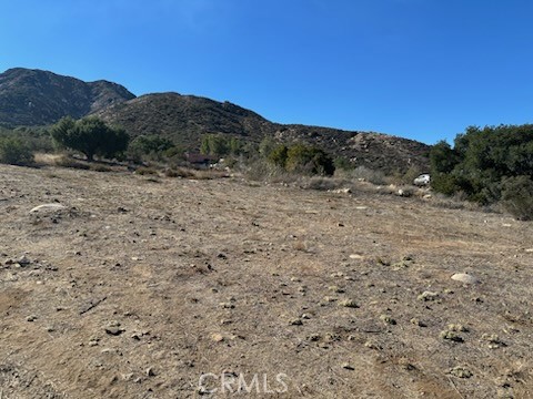 MLS #SW25256501 image #5