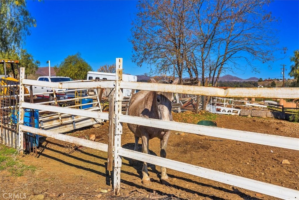 MLS #SW25257031 image #34