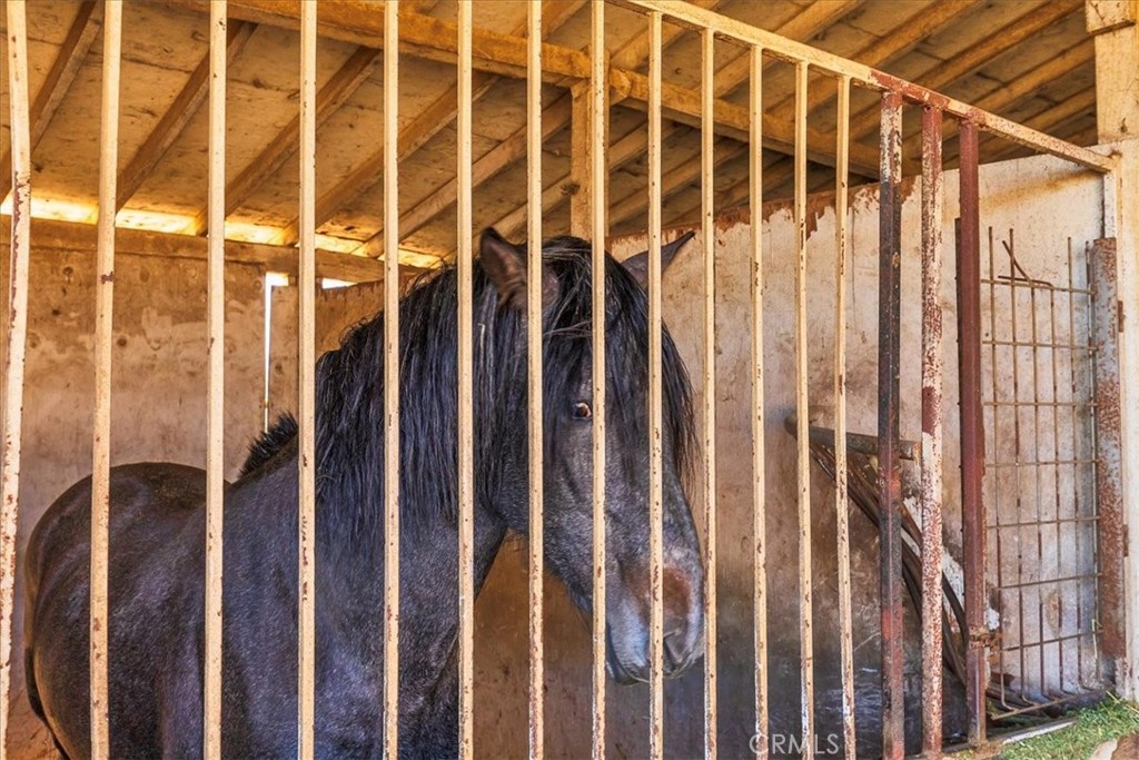 MLS #SW25257031 image #36