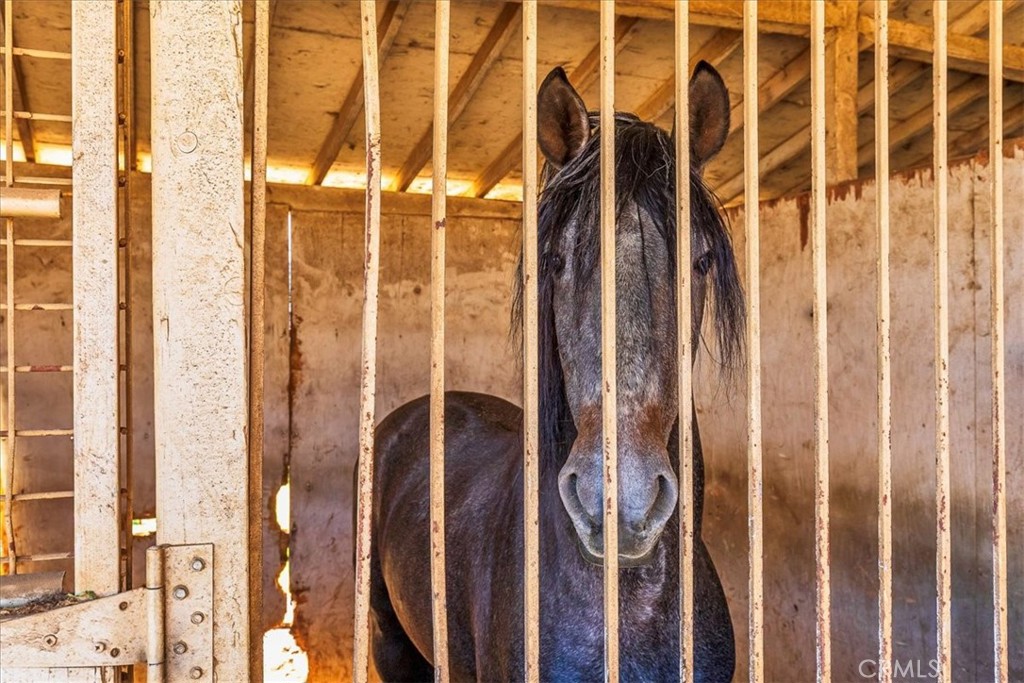 MLS #SW25257031 image #37