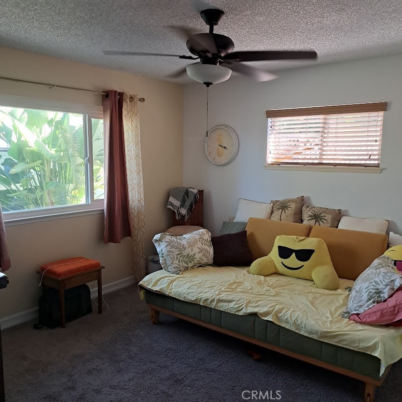 MLS #SW25257206 image #6