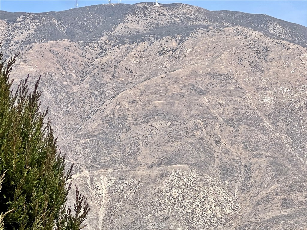 MLS #SW25257407 image #40