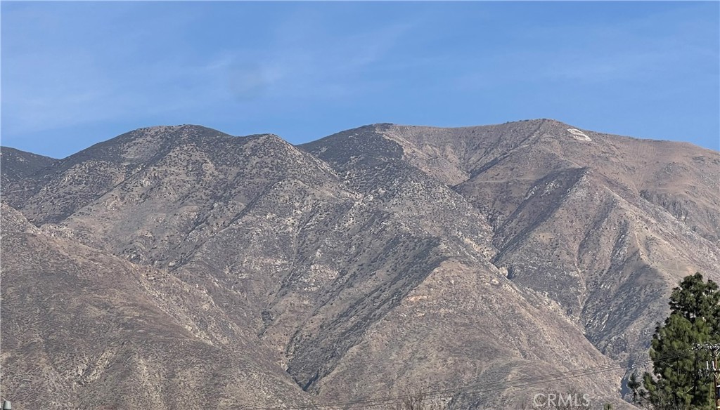 MLS #SW25257407 image #42