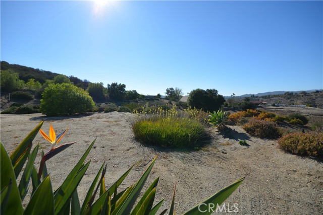 MLS #SW25257948 image #35