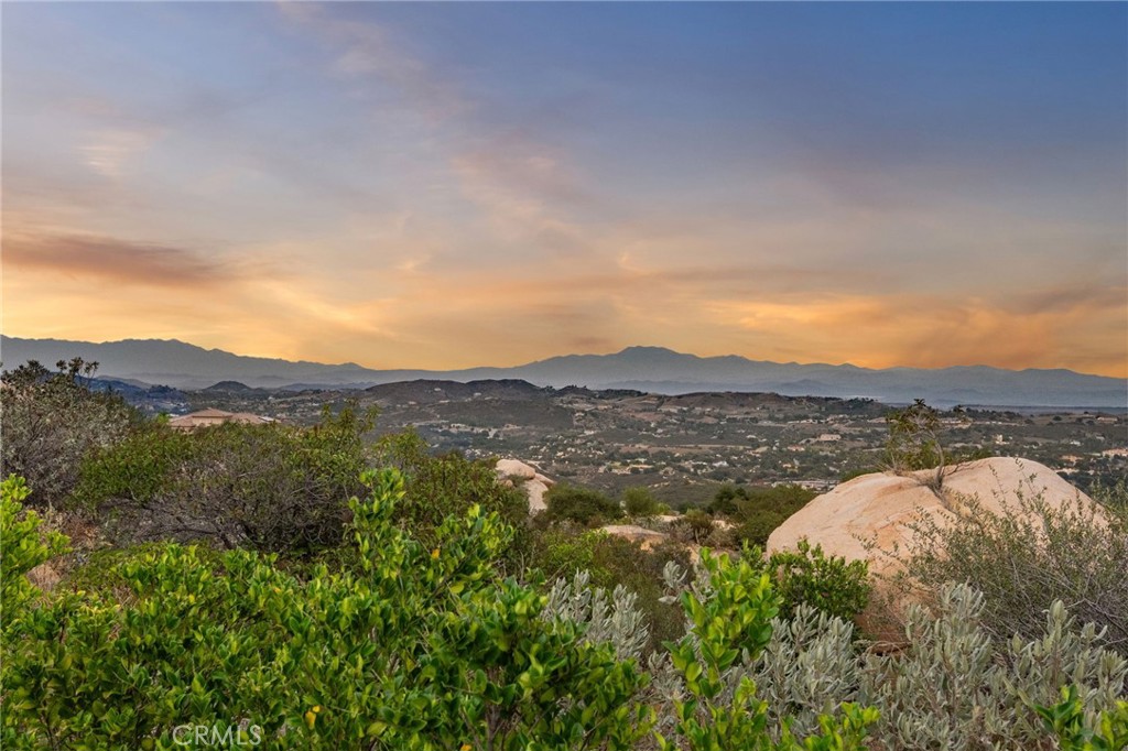 MLS #SW25258102 image #3