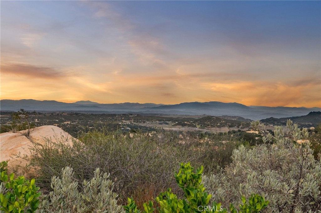 MLS #SW25258102 image #4