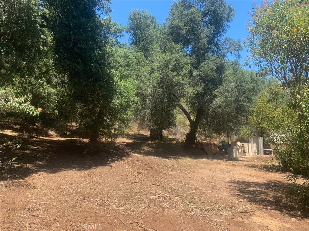 MLS #SW25258371 image #1