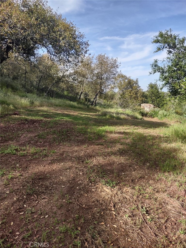 MLS #SW25258371 image #10