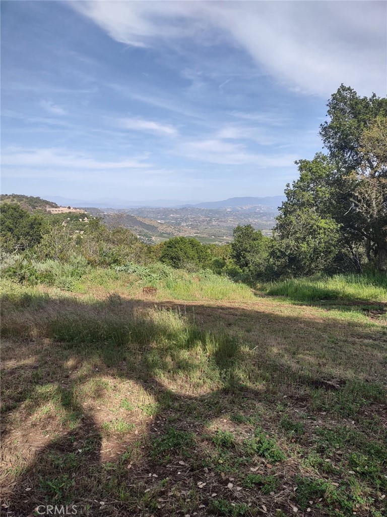 MLS #SW25258371 image #11