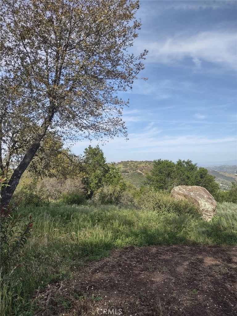 MLS #SW25258371 image #12