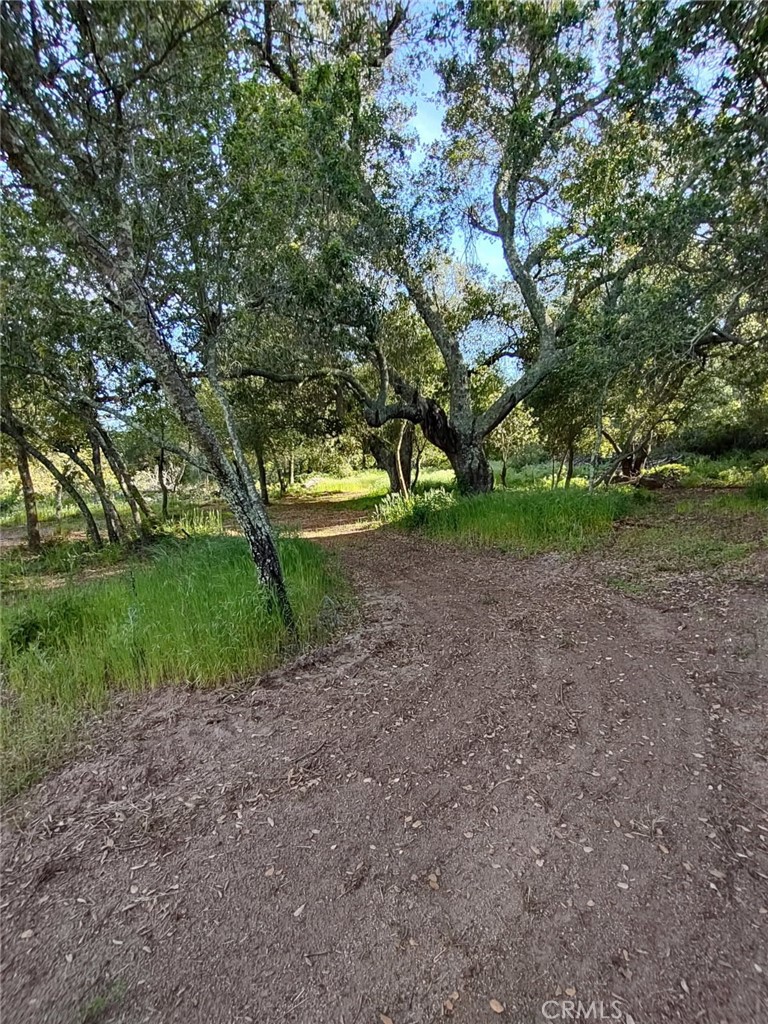 MLS #SW25258371 image #13