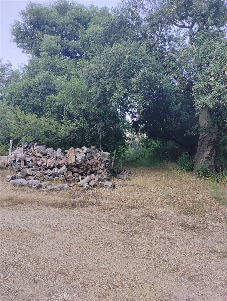 MLS #SW25258371 image #15