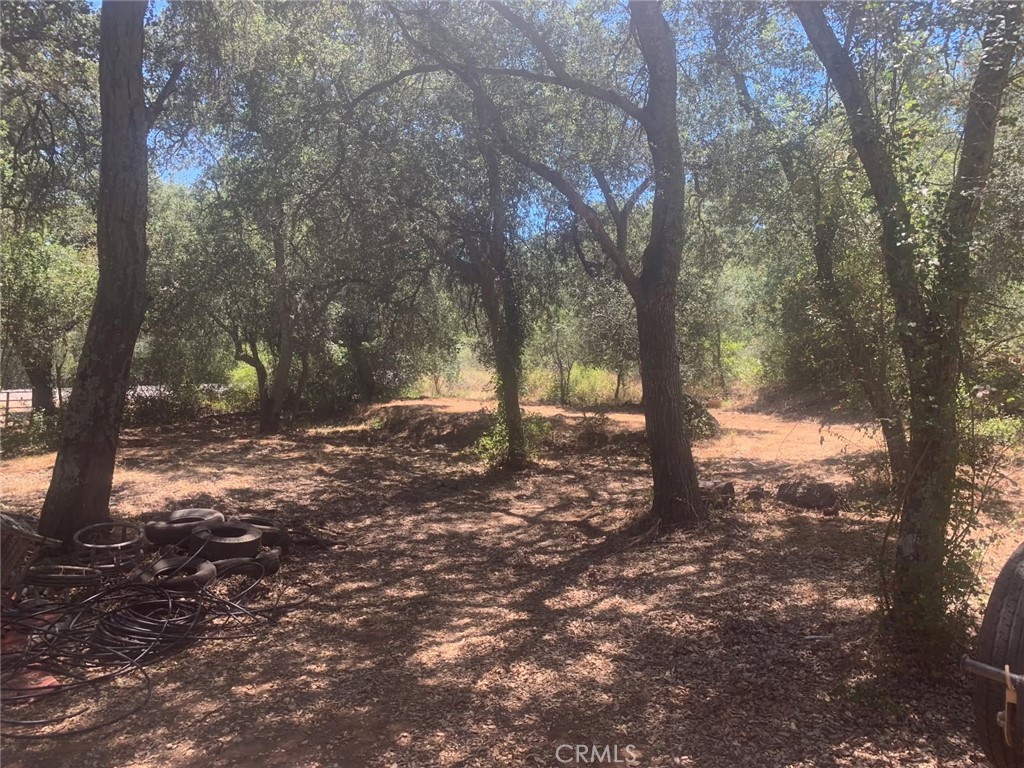 MLS #SW25258371 image #16