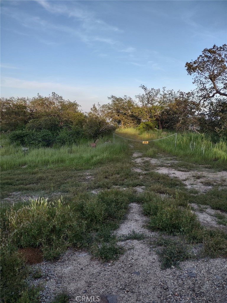 MLS #SW25258371 image #17