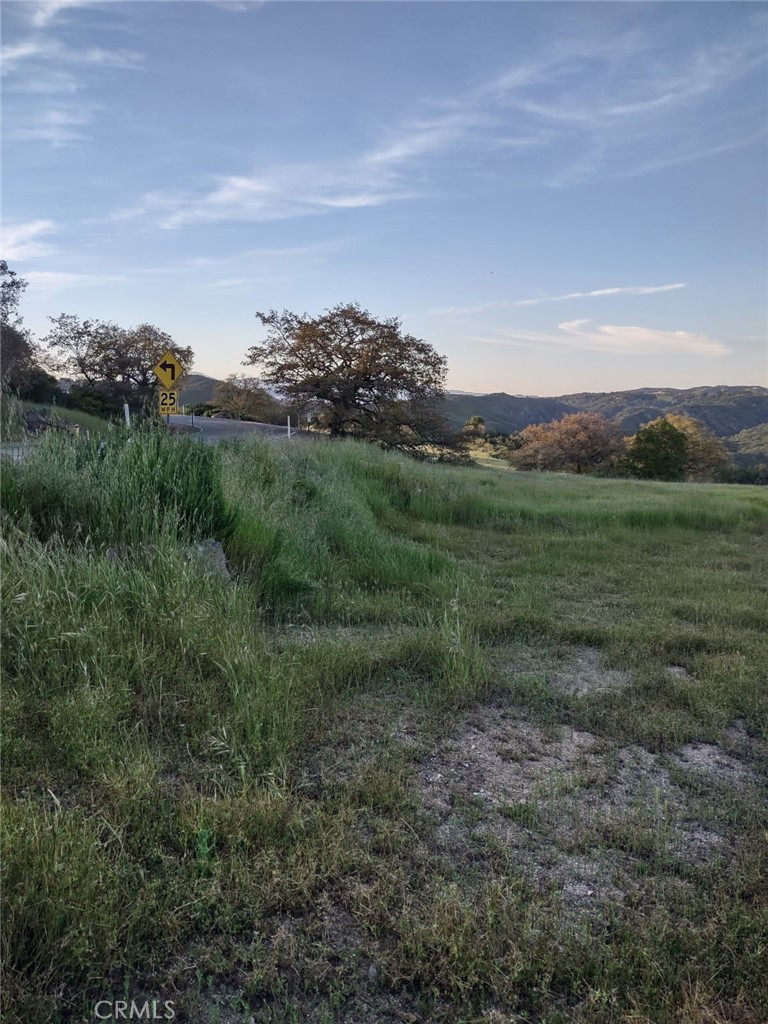 MLS #SW25258371 image #18