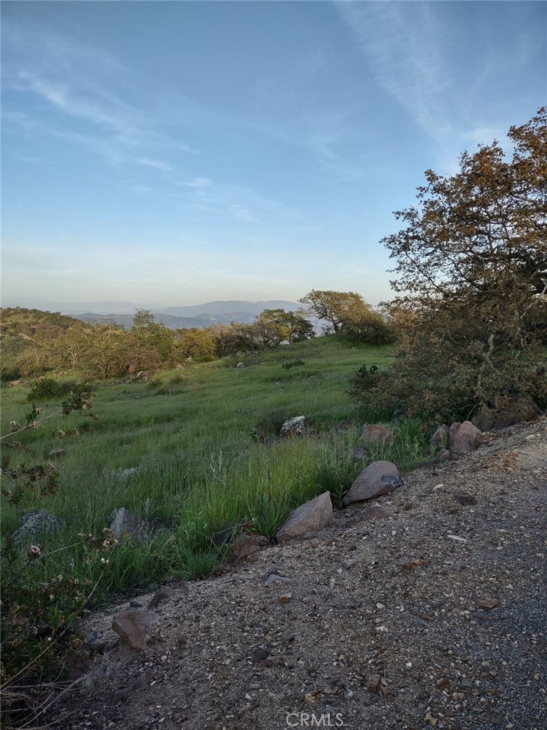 MLS #SW25258371 image #19