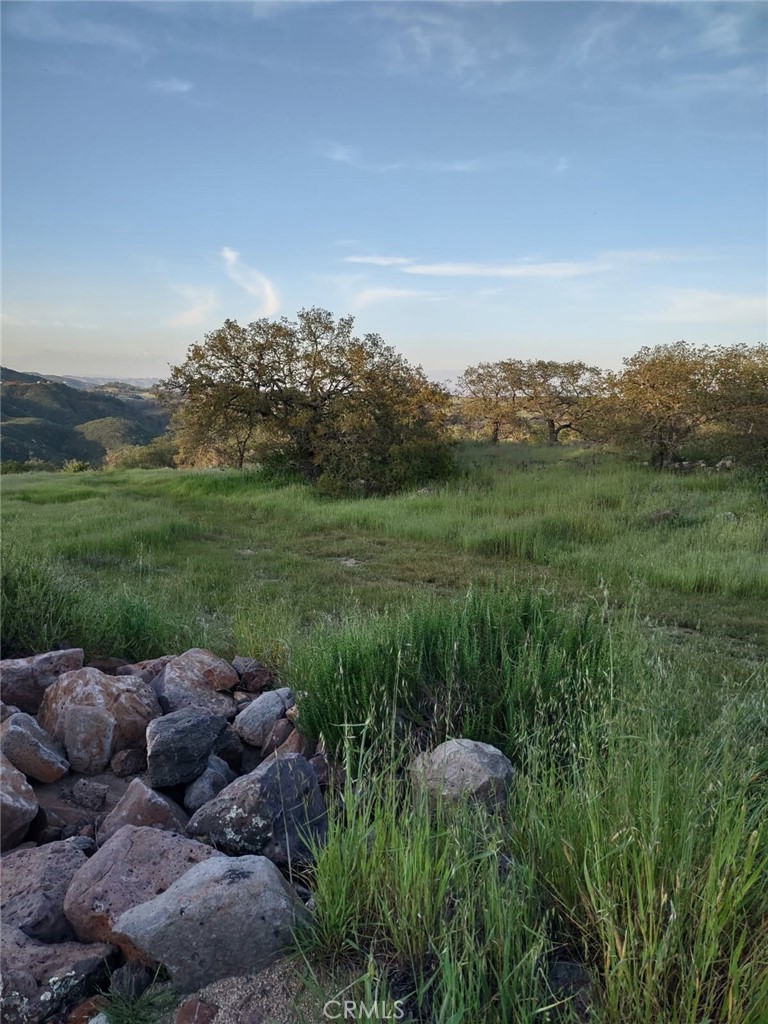 MLS #SW25258371 image #21