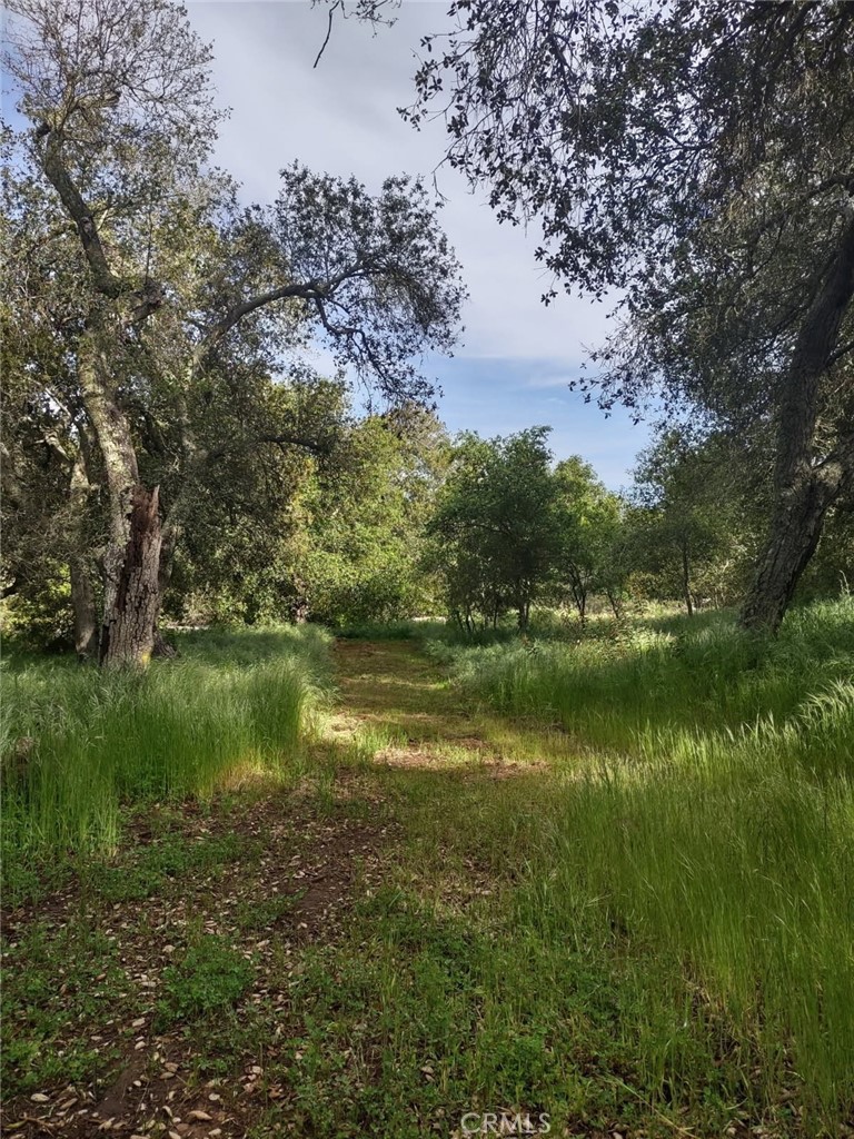 MLS #SW25258371 image #3