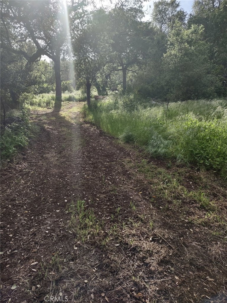 MLS #SW25258371 image #4