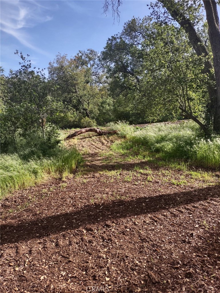 MLS #SW25258371 image #6