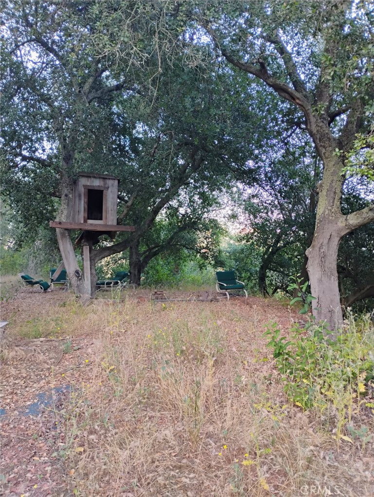 MLS #SW25258371 image #7