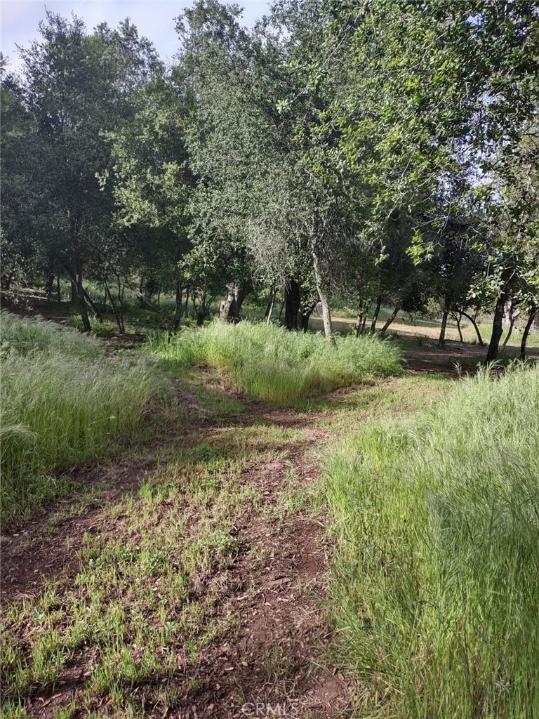 MLS #SW25258371 image #8