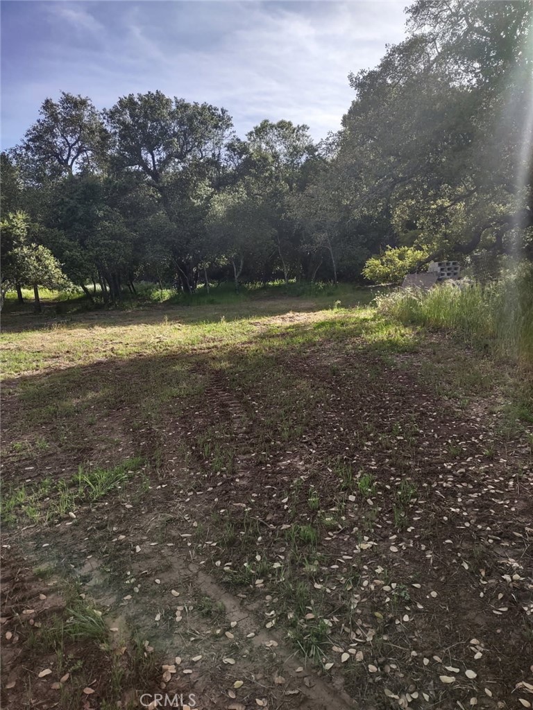 MLS #SW25258371 image #9