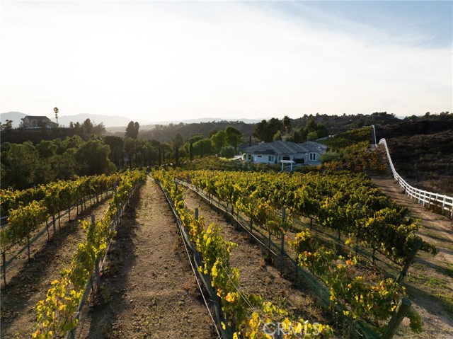 MLS #SW25258385 image #57