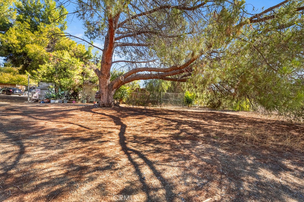 MLS #SW25258411 image #4