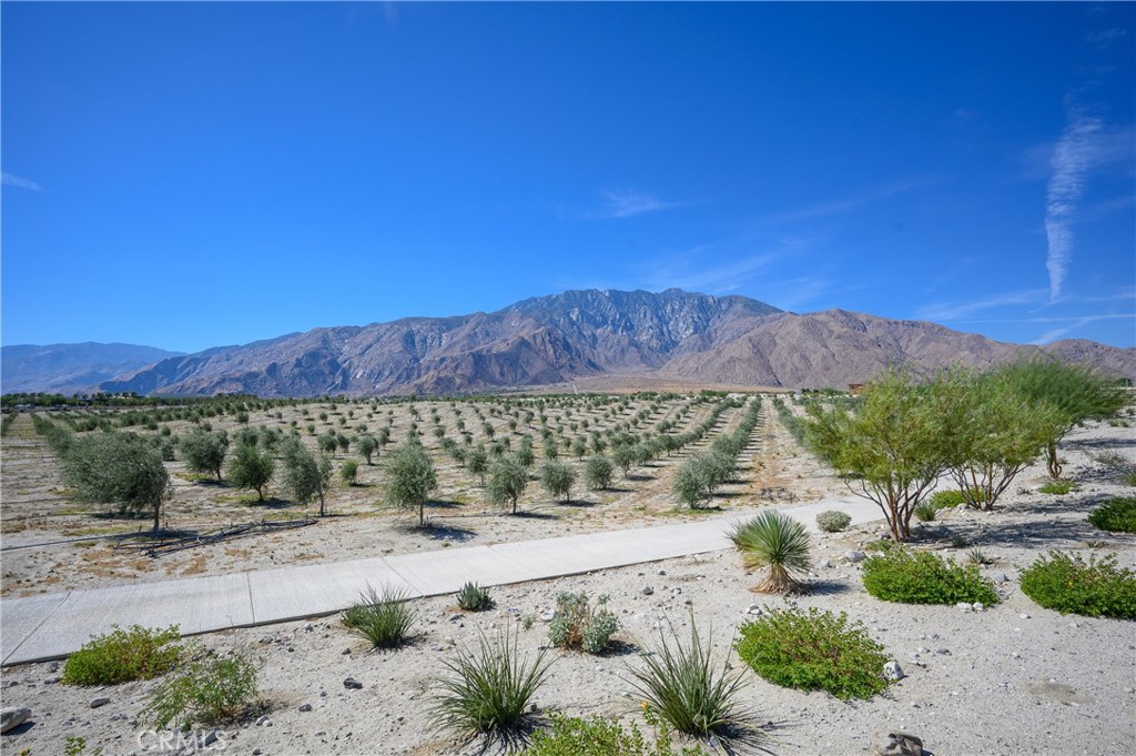 MLS #SW25259828 image #23