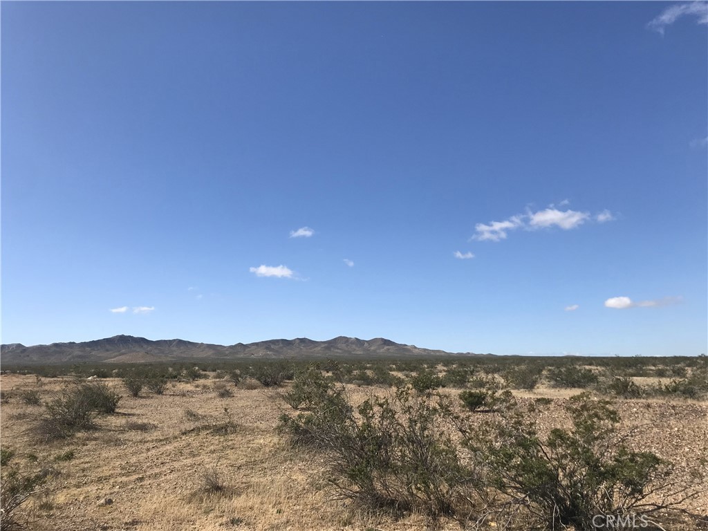 MLS #SW25260058 image #1