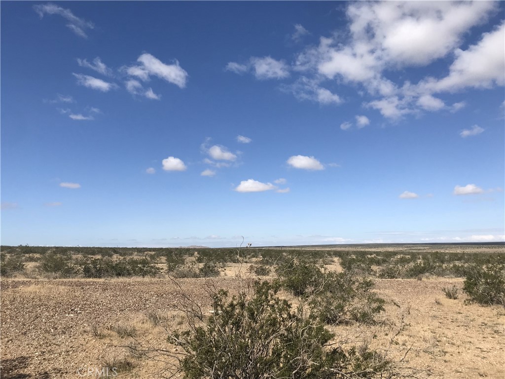 MLS #SW25260058 image #3