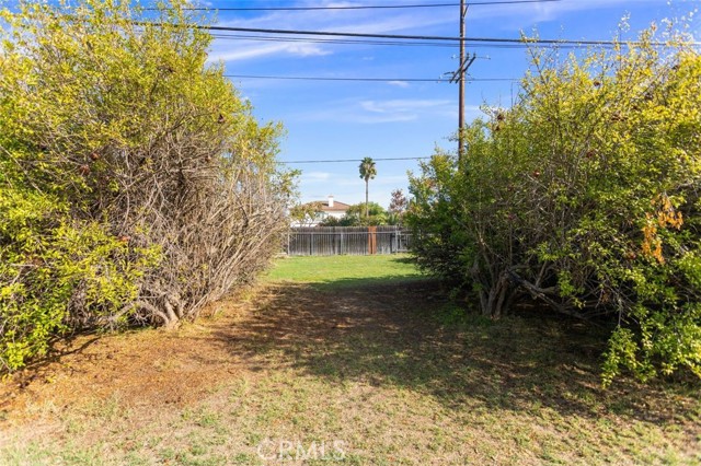 MLS #SW25260515 image #5